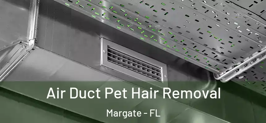 Air Duct Pet Hair Removal Margate - FL