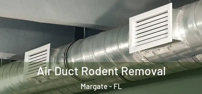 Air Duct Rodent Removal Margate - FL