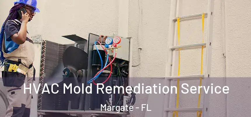 HVAC Mold Remediation Service Margate - FL