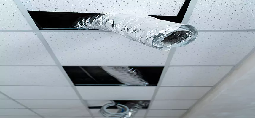 Affordable HVAC Sanitizing After Pest Removal in Margate