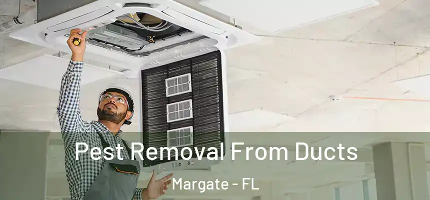 Pest Removal From Ducts Margate - FL