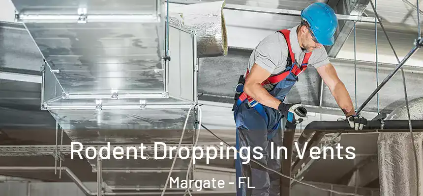 Rodent Droppings In Vents Margate - FL