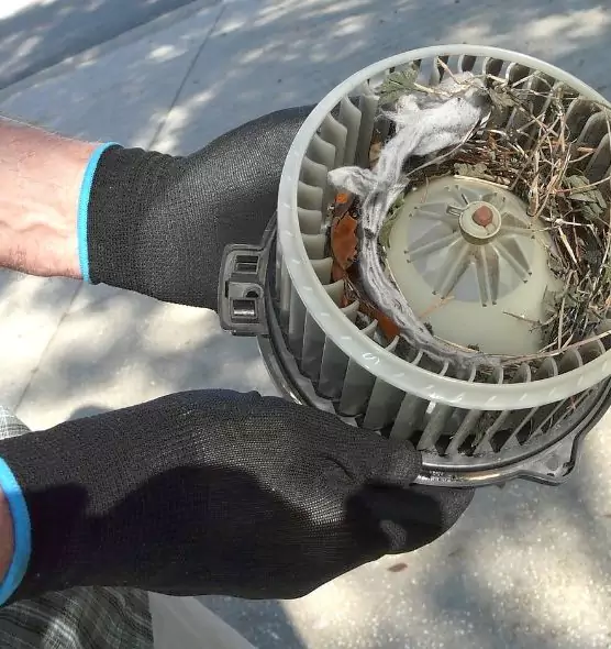 About Air Duct Mice Removal in Margate, FL