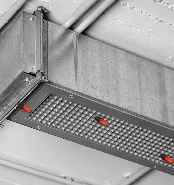Affordable Insect Removal from Air Ducts in Margate, FL