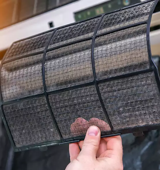 About Pet Dander Duct Cleaning in Margate, FL